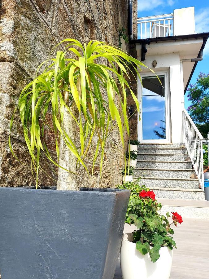 Villa Anselma, Casa Compartida Pontevedra Luaran gambar